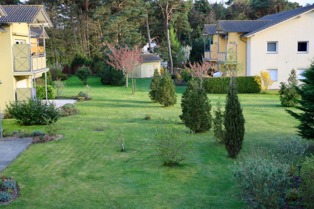 Ostseebad Koserow Ferienwohnung Pusteblume, 2-4 Personen Екстер'єр фото